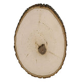 Walnut Hollow Rustic Basswood Round Medium with Live Edge Wood (Pack of 12) - for Wood Burning, Home Décor, and Rustic Weddings