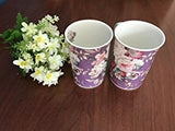 Lightahead Elegant Bone China Two Mugs set in Romantic Roses Design 11.2 oz each cup in