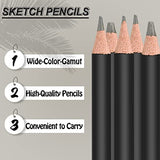 Aipende Professional Sketch Pencils,Drawing Pencils for Art,68 PCS Sketching Art Pencil:Includes Graphite Pencils and Charcoal Pencils…