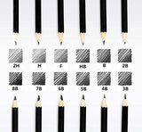 Professional Drawing Sketch Pencils Set of 12, Medium (8B - 2H), Artist Pencils for Beginners & Pro Artists，Ideal for Drawing Art, Sketching, Shading