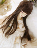 Clicked BJD Doll Full Wig for 1/3 1/4 1/6 Dolls DIY Supplies, Long Straight Hair Wig Doll Making DIY Accessory,C,1/4