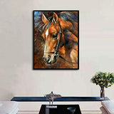 MXJ DIY 5D Diamond Painting by Number Kits Full Round Drill Rhinestone Picture Art Craft for Home Wall Decor Brown Horse 12x16In