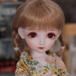Fbestxie 1/6 BJD Doll 26CM /10.2Inch Height Ball Jointed SD Dolls Wig Shoes Clothes Hair Hat Eyes Makeup with Gift Box,C
