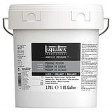 Liquitex Professional Effects Medium, 118ml (4-oz), Gloss Pouring Medium & Professional Acrylic Ink, 1-oz (30ml) Jar, Titanium White