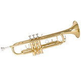 Mendini by Cecilio Gold Trumpet Brass Standard Bb Trumpet, Student Beginner with Hard Case, Gloves, 7C Mouthpiece, and Valve Oil