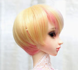 (22~24cm) 1/3 BJD Doll MSD Fur Wig Dollfie Mixed & Gradients Color / 007-A(FEB113)