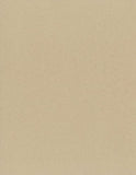 Strathmore (481-307 400 Series Softcover Toned Tan Mixed Media Art Journal, 7.75"x9.75", 24 Sheets