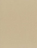 Strathmore (469-305 400 Series Hardbound Mixed Media Art Journal, 8.5"x5.5", Toned Tan, 24 Sheets