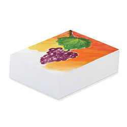 Pacon Art1st Mixed Media Art Paper, White, 9" by 12", 500 Sheets (4831)