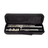 Lexington Advanced Silver Plated Closed Hole C Flute with Full Accessories and Maintenance Kit