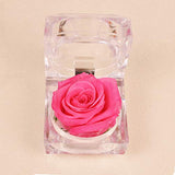 Handmade Preserved Fresh Flower Rose with Acrylic Crystal Ring Box ，a Gifts for