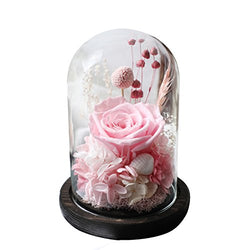 Amoleya 4.9 Inch Handmade Preserved Rose Enchanted Rose that Lasts in Glass Dome,Pink