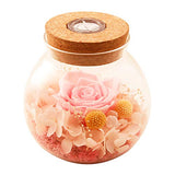 SANRAN Handmade Preserved Real Rose Present Gorgeous Led Mood Light, Upscale Gift Exquisite Eternal