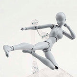 Action Figures Body Kun DX & Body Chan DX PVC Figure Model Drawing for SHF S H Figuarts (Female+Male) with Box