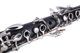 Dleisis B Flat Clarinet 17 Nickel Keys Student Standard Clarinet Set with 4C Mouthpiece, Hard Case, Cloth, Gloves, Shoulder Strap, Ebonite Bb Clarinet Beginner Student Clarinet Black