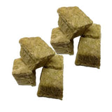 GRODAN A OK Rockwool Stonewool Hydroponic Grow Media Starter Cubes Plugs + THCity Gloves - 2" x 2" - 50 Piece