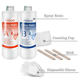 Epoxy Resin Casting and Coating Kit for Art, Jewelry, Crafts - 32 Oz | Bonus 4 pcs Graduated Cups, 3pcs Sticks, 1 Pair Rubber Gloves by Puduo