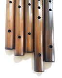Stellar Basic Flute Key of G - Dark Stained Cedar Native American Style Flute with Carrying Case