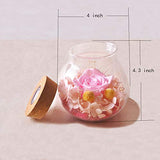 SANRAN Handmade Preserved Real Rose Present Gorgeous Led Mood Light, Upscale Gift Exquisite Eternal