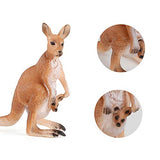 Realistic Wildlife 4 PCS Kangaroo Wild Animal Figures Model Figurines Desktop Decoration Party Supplies Cake Toppers Set Cognitive Toys for 5 6 7 8 Years Old Boys Girls Kid Toddlers