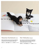 Adorable Felted Animals: 30 Easy & Incredibly Lifelike Needle Felted Pals (Gakken Handmade)