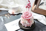 Amoleya 4.9 Inch Handmade Preserved Rose Enchanted Rose that Lasts in Glass Dome,Pink