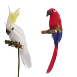 BARMI 1:12 Handmade Feather Parrot Dollhouse Miniature Bird Simulation Model Decor,Perfect DIY Dollhouse Toy Gift Set White