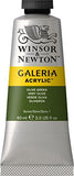 Winsor & Newton Galeria Acrylic Paint 60ml Tube: Olive Green