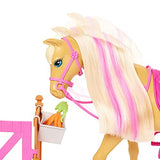 Barbie Groom 'n Care Horses Playset Doll (Blonde 11.5-in), 2 Horses & 20+ Grooming and Hairstyling Accessories, Gift for 3 to 7 Year Olds [Amazon Exclusive]