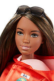 Barbie Polar Marine Biologist Doll, Brunette with Penguin, Inspired by National Geographic for Kids 3 Years to 7 Years Old