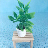 PULABO Delicate Dollhouse Miniature Bonsai Cute Mini Doll House Potted Plant Creative Decoration Accessories Vivid Toy Model Green Excellent Quality and Creative Practical