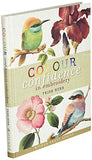 Colour Confidence in Embroidery (Milner Craft Series)