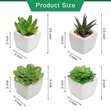 Coitak Fake Succulent Plants in Pots, Mini Assorted Artificial Faux Succulents, Potted Fake Cactus Cacti Plants with Ceramic Pots, Set of 4