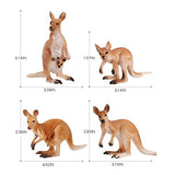 Realistic Wildlife 4 PCS Kangaroo Wild Animal Figures Model Figurines Desktop Decoration Party Supplies Cake Toppers Set Cognitive Toys for 5 6 7 8 Years Old Boys Girls Kid Toddlers
