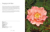 Peonies: Beautiful Varieties for Home & Garden