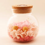 SANRAN Handmade Preserved Real Rose Present Gorgeous Led Mood Light, Upscale Gift Exquisite Eternal