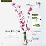 Easy Ikebana: 30 Beautiful Flower Arrangements You Can Make in Three Simple Steps