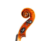 D Z Strad Model 365 Violin 3/4 Size with Open Clear Tone with Dominant strings, Case, Bow and Rosin (3/4 - Size)