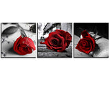 NAN Wind Canvas Print 3 Pcs Black and White Red Rose Canvas Art Painting Abstract Wall Art Decorations Flower Picture on Canvas for Home Decor Valentines Gift Stretched and Framed 12X12inches