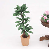 BARMI 1/12 Realistic Leafed Plant Pot Pottery Miniature Doll House Garden Decoration,Perfect DIY Dollhouse Toy Gift Set