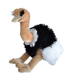 Wild Republic Ostrich Plush, Stuffed Animal, Plush Toy, Gifts for Kids, Cuddlekins 12 Inches