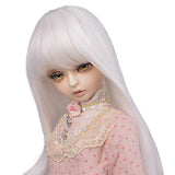 MUZI Wig 1/3 Bjd Hair High Temperature Long Gray Straight and Curly Bjd Wig SD for BJD Doll (1001)