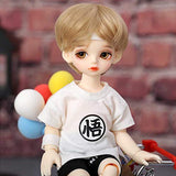 ZDD Ramcube Ravi BJD SD Doll 1/6 YoSD Girl Boy Body Resin Figures Model Eyes Toys Shop