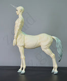 Zgmd 1/3 BJD Doll SD Doll Ball Jointed Doll Horse Body Custom Made With Face make up