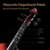 Eastar 1/2 Violin Set for Beginners, Half Size Fiddle with Hard Case, Rosin, Shoulder Rest, Bow, and Extra Strings (Imprinted Finger Guide on Fingerboard), EVA-2