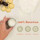 Candle Making Kit for Adults Beginners, Beeswax Candle Making Supplies Set Include Melting Pot, Beeswax, Dyes, 2 Fragrance Oils (Lavender, Vanilla)