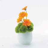 Easy Ikebana: 30 Beautiful Flower Arrangements You Can Make in Three Simple Steps