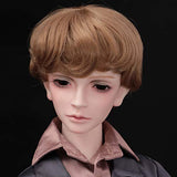 MEESock 62.5cm Exquisite Boy BJD Dolls 1/3 Fashion SD Dolls Cosplay Dolls Fullset Toy, with Clothes Shoes Wig Makeup, for Gift Collection Decoration