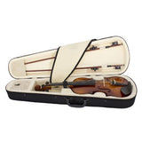 Cecilio CVN-300 Solidwood Ebony Fitted Violin with D'Addario Prelude Strings, Size 1/4