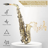 Ktaxon Alto Saxophone Drop E Brass Sax Full Kit for Student Beginners, Mouthpiece, Carrying Case, Gloves, Cleaning Cloth Bar, Detachable Strap, Shoulder Strap, Reed (Antique Bronze)